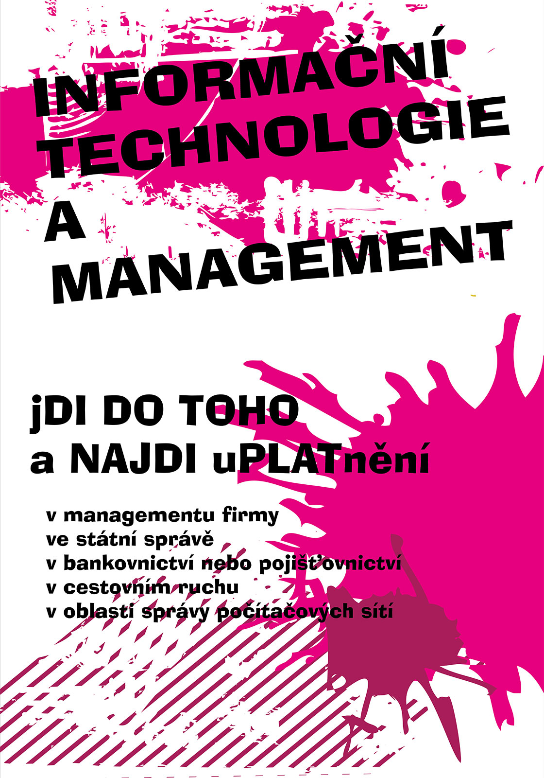 Informační technologie a management