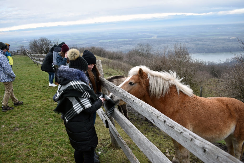 Přes Moravské pole, Dunaj až do Bratislavy na hrad