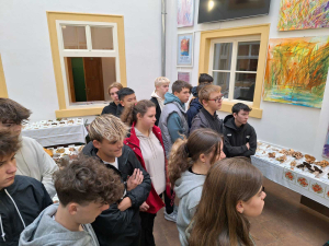 Mykologická výstava